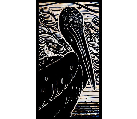 "Pelican" by Sara Gettys